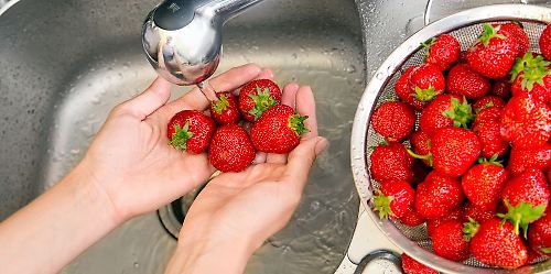 Erdbeeren_werden_gewaschen.jpg